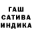 Каннабис планчик Jomart Djumabekov