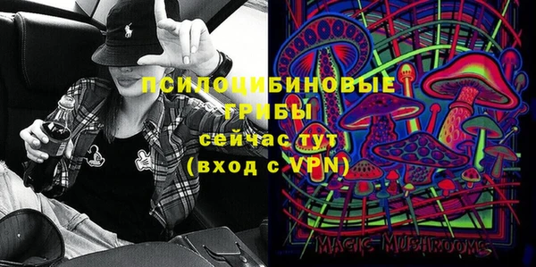 гидропоника Карпинск