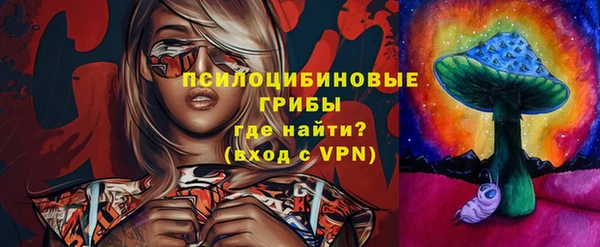гидропоника Карпинск