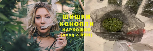гидропоника Карпинск